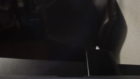 Snapshot of korek878 chatting on 10/16/25, 07:37 korek878 online show from 10/16/25, 07:37