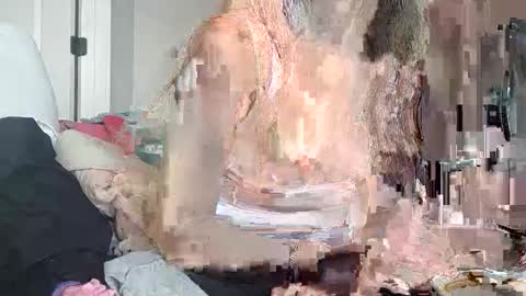 Korina online show from 12/16/25, 07:41