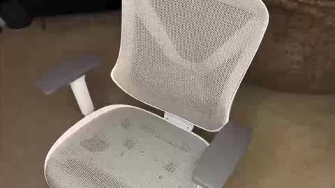 Snapshot of koryoncam chatting on 12/16/25, 09:58 your hairy neighbor online show from 12/16/25, 09:58