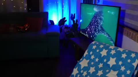 kozzy_ online show from 06/18/26, 11:09