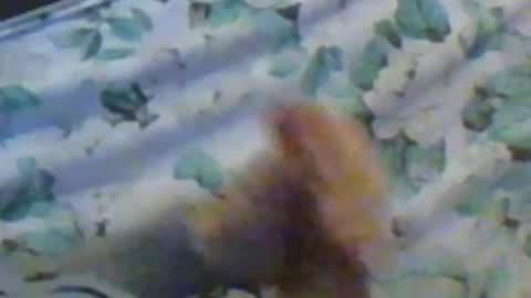 Snapshot of kren565656 chatting on 12/10/24, 11:32 kren565656 online show from 12/10/24, 11:32