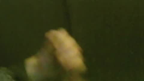 Snapshot of kren565656 chatting on 01/22/25, 09:35 kren565656 online show from 01/22/25, 09:35