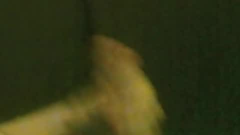 Snapshot of kren565656 chatting on 09/21/25, 10:06 kren565656 online show from 09/21/25, 10:06