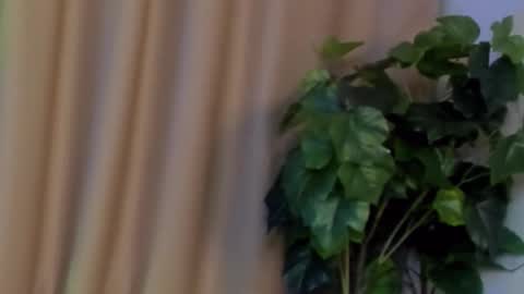 Kristi online show from 12/07/24, 09:50