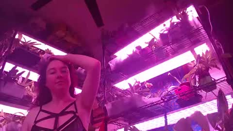 krookedorchid online show from 10/19/25, 11:44