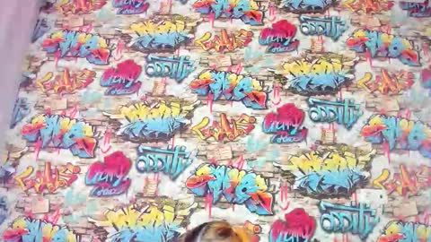 Krys online show from 11/27/25, 12:56