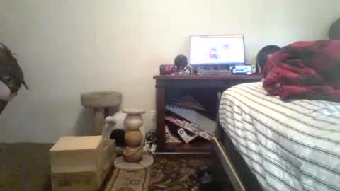 Snapshot of krystalizedkitsune chatting on 07/20/26, 11:29 krystalizedkitsune online show from 07/20/26, 11:29