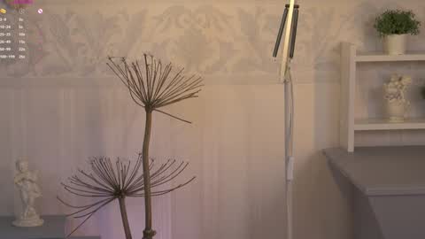 Ksesha online show from 02/06/25, 03:48