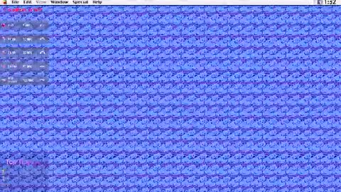 Krypto hethey online show from 07/25/26, 07:00