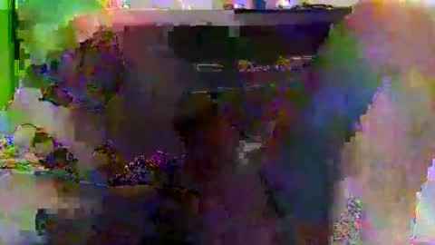 Snapshot of kylevogt2024 chatting on 04/14/26, 03:56 kylevogt2024 online show from 04/14/26, 03:56