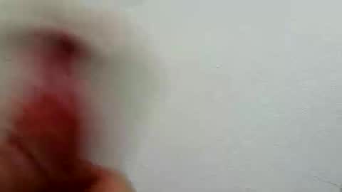 Snapshot of l0cean chatting on 02/26/26, 03:16 l0cean online show from 02/26/26, 03:16