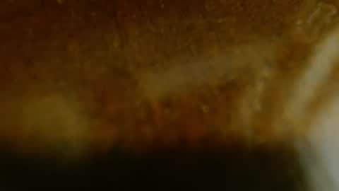 la teaser online show from 11/20/25, 01:17