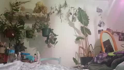 lacybell online show from 12/24/24, 06:44