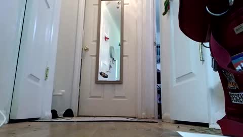 lacybell online show from 01/08/25, 02:14