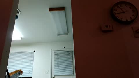 lacybell online show from 01/14/25, 02:50