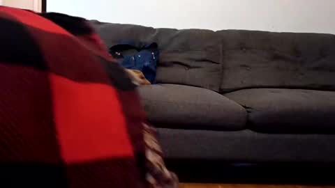 lacybell online show from 02/07/25, 10:40