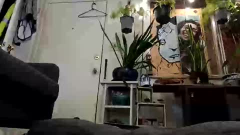 lacybell online show from 02/19/25, 07:28