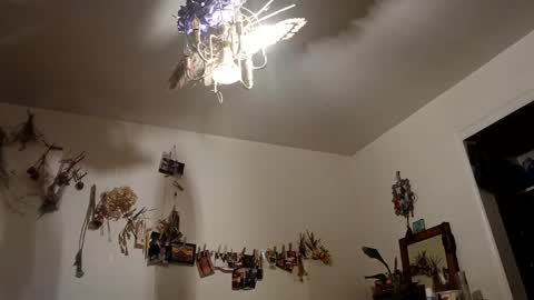 lacybell online show from 10/09/25, 07:17