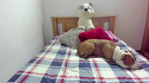 Snapshot of ladahear_ chatting on 10/21/25, 11:55 Akyra  online show from 10/21/25, 11:55