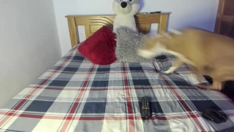 Snapshot of ladahear_ chatting on 10/25/25, 01:07 Akyra  online show from 10/25/25, 01:07