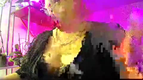 Lady Gloria online show from 01/04/25, 03:40