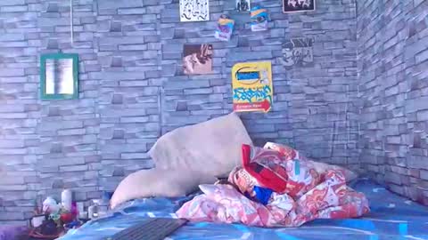 Snapshot of lady_godss chatting on 12/01/25, 07:08 Lady godss online show from 12/01/25, 07:08