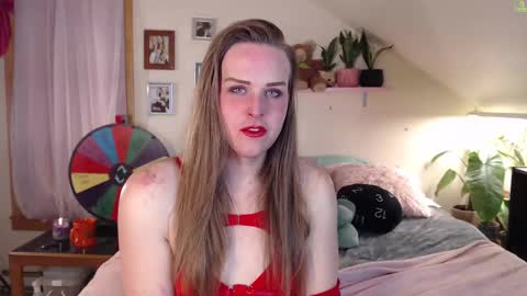 ladyboyhomemaker online show from 02/15/25, 04:47