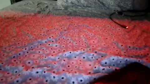 Snapshot of ladycinnabon chatting on 12/15/25, 01:54 Stephanie online show from 12/15/25, 01:54