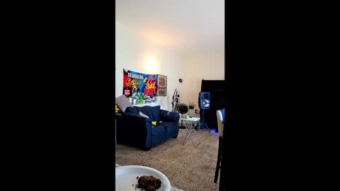 onlyfans  Ladycreamypr online show from 04/21/26, 07:06