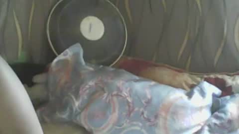 LadyXSnakes online show from 01/10/25, 05:26