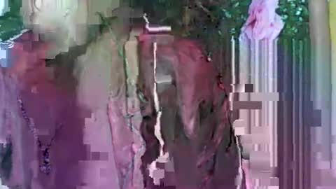 Snapshot of ladyxsnakes chatting on 09/21/25, 04:03 LadyXSnakes online show from 09/21/25, 04:03