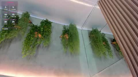 lana_lann online show from 09/24/25, 11:57