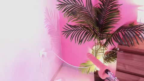 LANA online show from 12/01/25, 04:17