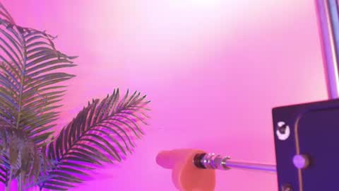LANA online show from 07/25/26, 04:43