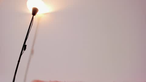 Lana Owens online show from 07/03/26, 01:01