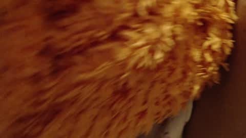 laralhotr online show from 12/26/24, 10:09