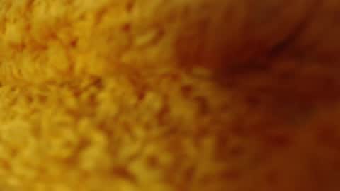 laralhotr online show from 12/27/24, 01:11