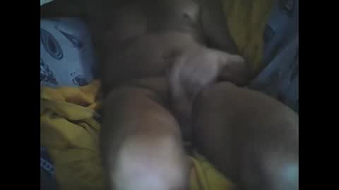 Snapshot of larop49 chatting on 10/06/25, 05:16 Larop49 online show from 10/06/25, 05:16