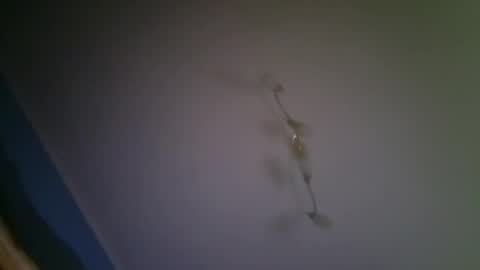 larry009 online show from 12/15/25, 03:00