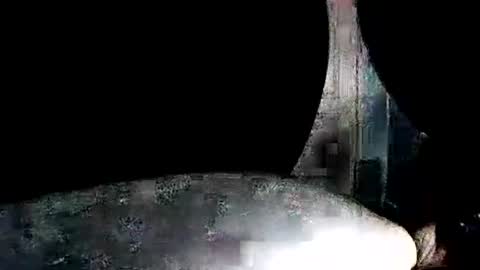 Snapshot of latexchris77 chatting on 01/07/26, 07:55 latexchris77 online show from 01/07/26, 07:55