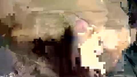 Snapshot of latil chatting on 12/05/24, 06:33 joseph online show from 12/05/24, 06:33