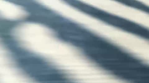 latinlover199518 online show from 05/09/26, 07:08