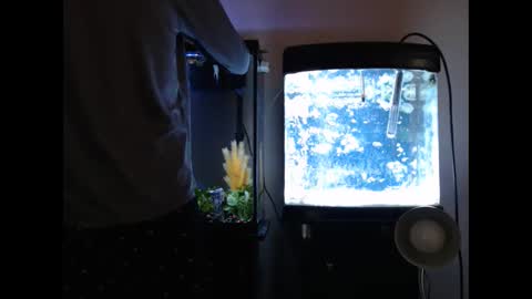 latinlover513 online show from 01/28/25, 07:32