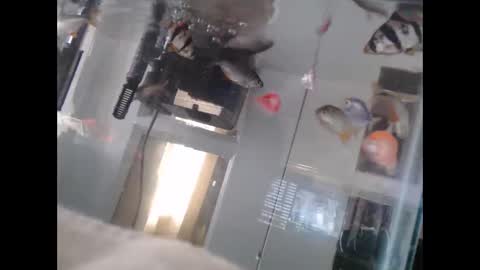 latinlover513 online show from 03/02/25, 10:16