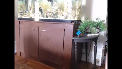 latinlover513 online show from 03/11/25, 06:08