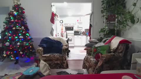 Snapshot of laulauma chatting on 12/23/24, 01:29 LauLauMa online show from 12/23/24, 01:29