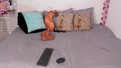 Snapshot of laura1__ chatting on 12/15/25, 11:31 laura1__ online show from 12/15/25, 11:31