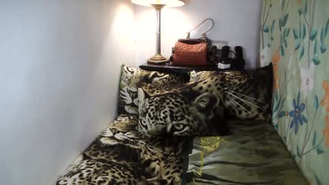 Belle online show from 02/02/25, 08:13