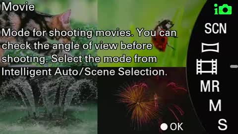 Monica online show from 09/24/25, 08:39