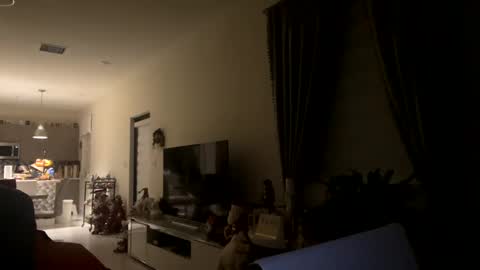 Snapshot of law_cambio chatting on 12/31/24, 11:31 law_cambio online show from 12/31/24, 11:31